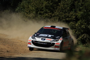 Rudy-Michelini-Peugeot-207-s2000