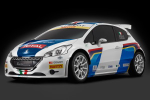 andreucci-peugeot-208T6-R5